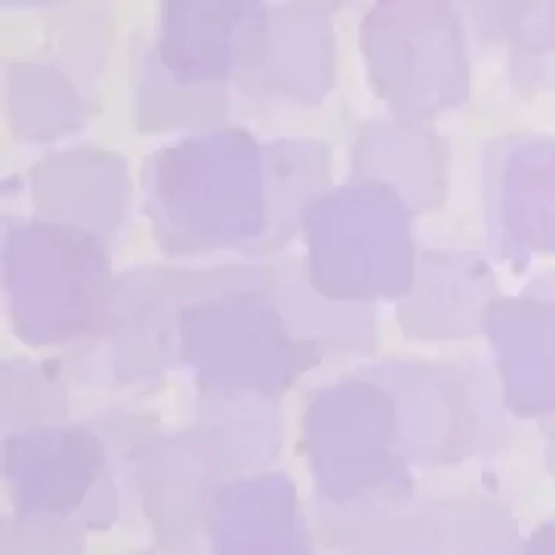 Women's Ruffle Sleeve Blouse