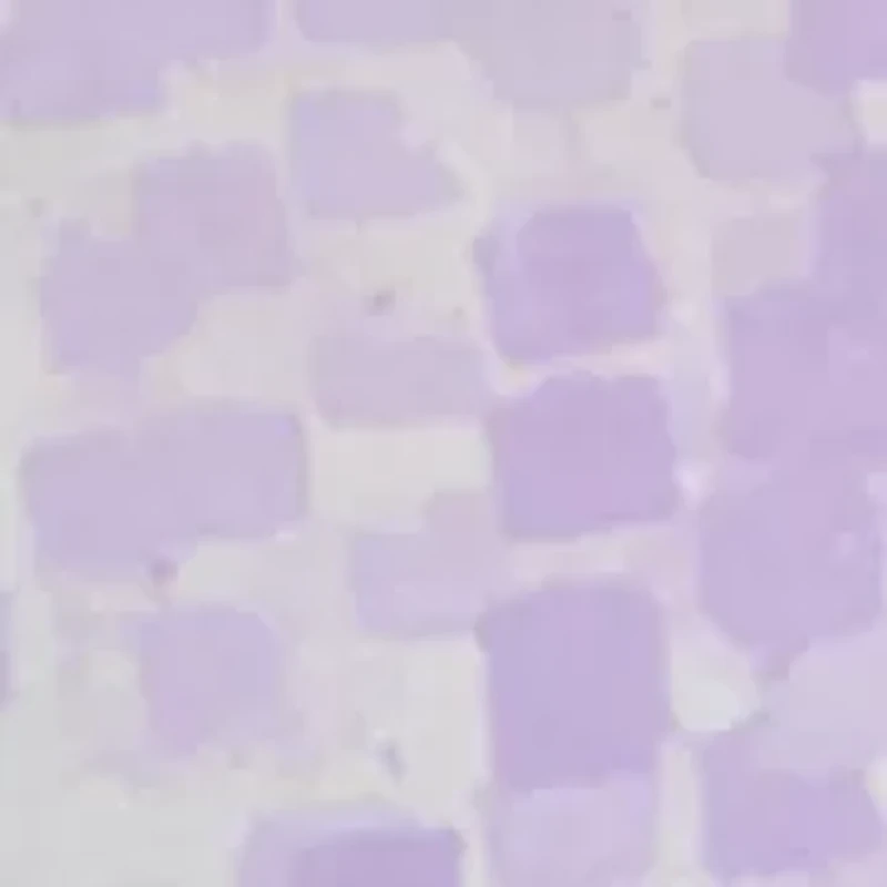 Petite Ruffle Sleeve Blouse