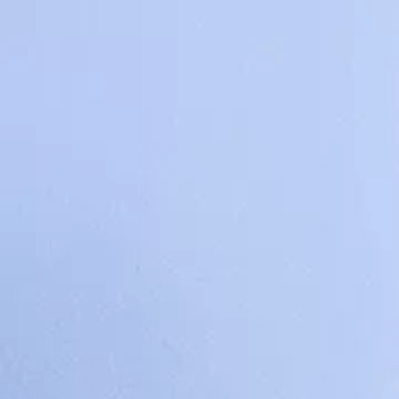 Women's Fly Front Slim Fit Pants