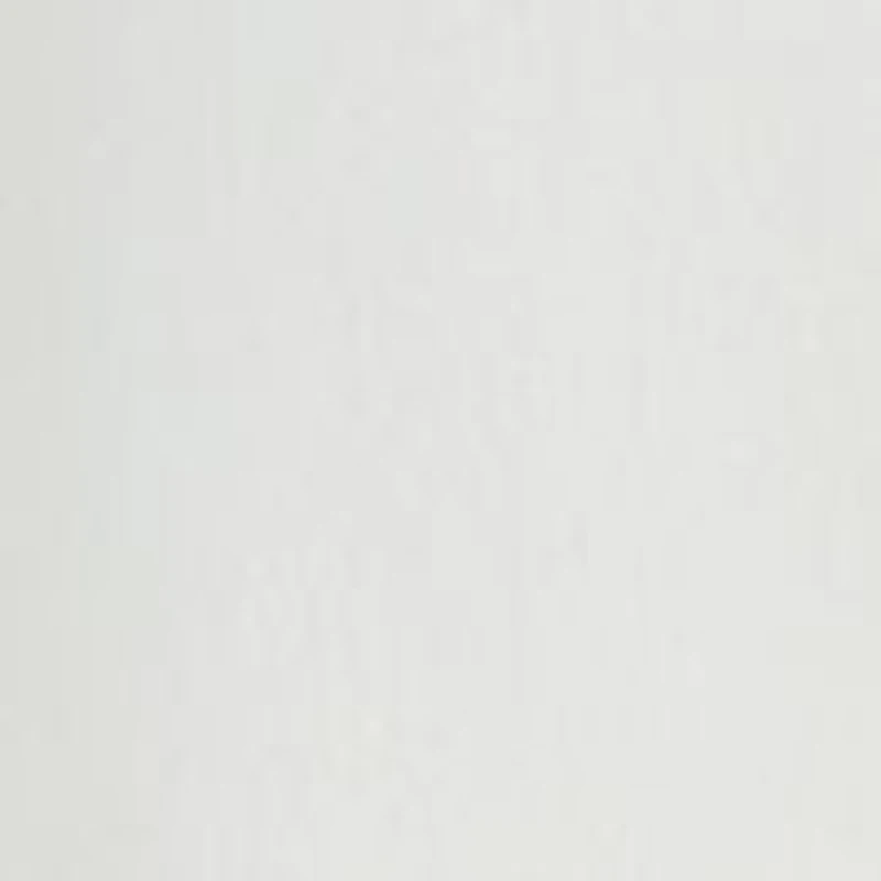 Petite Pearl Trim Shawl Collar Jacket