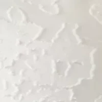 Plus Blouson Sleeve Burnout Top