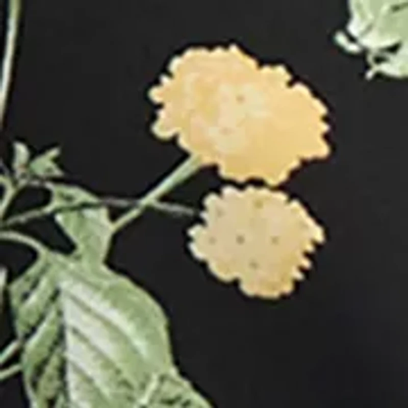 Women's One Button Split Sleeve Jacket