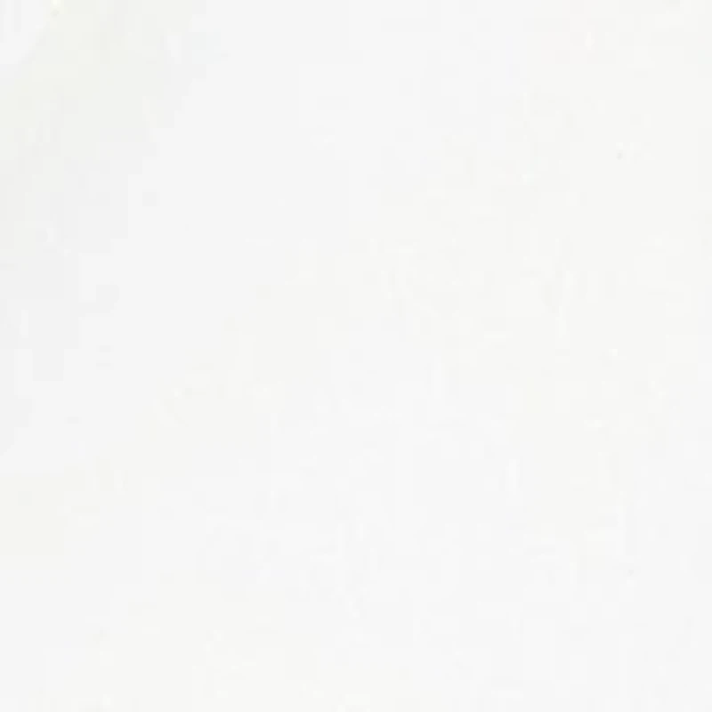 Women's 2 Button Three-Quarter Sleeve Notch Collar Jacket