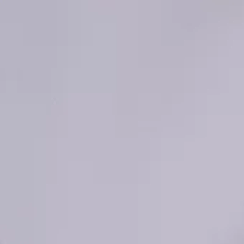 Women's Long Sleeve Pleated Blouse
