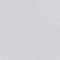 Women's Short Sleeve Tipped Sweater