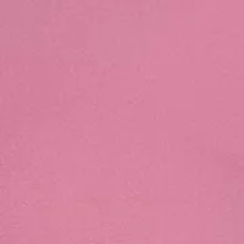 Women's Pleated Button Front Blouse