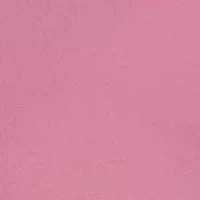 Women's Pleated Button Front Blouse