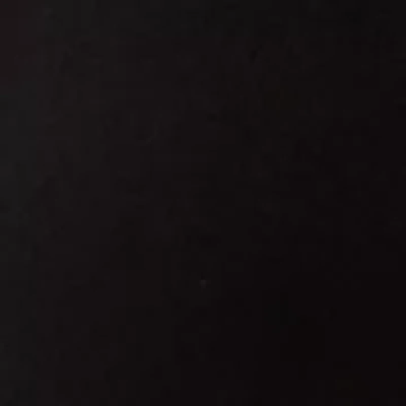 Women's Button Down Lantern Sleeve Blouse