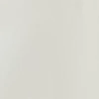 Women's Button Down Lantern Sleeve Blouse