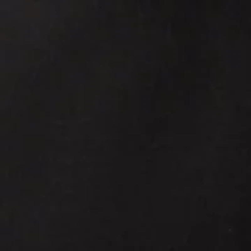 Women's 2 Button Notch Collar Blazer