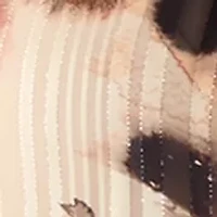 Women's Long Sleeve Button Down