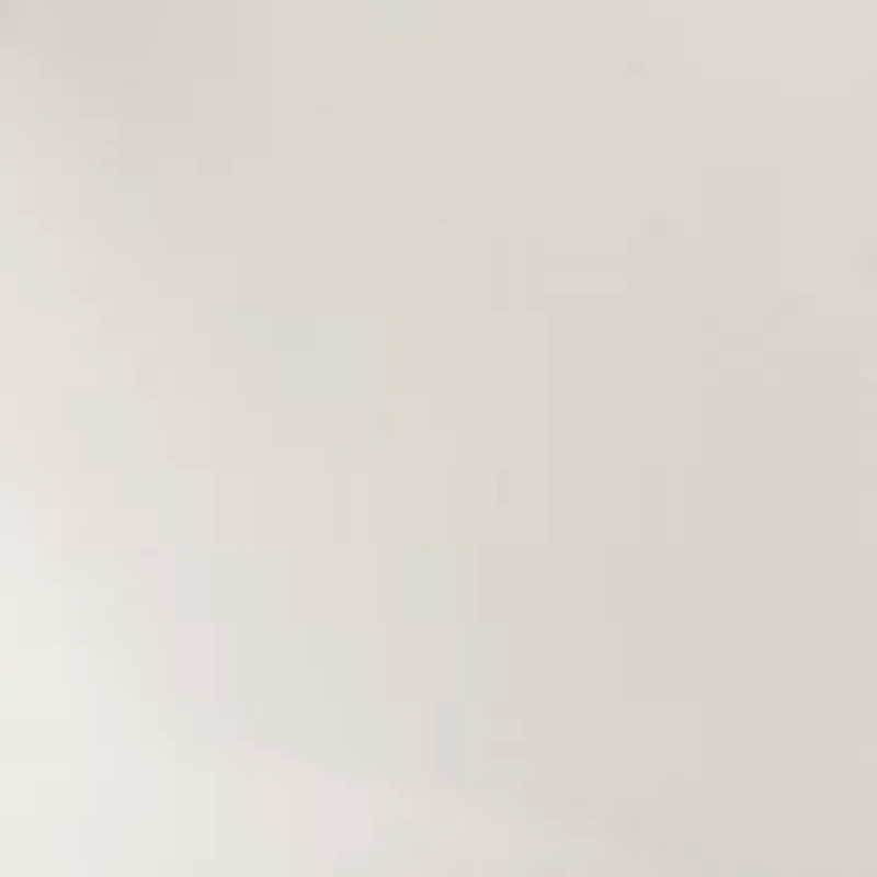 Women's Button Down Shirt