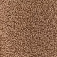 NVLT Women's Berber Toggle Coat