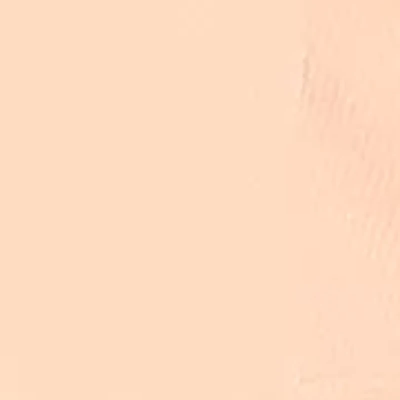 Women's Faux Double Breasted Notch Collar Blazer