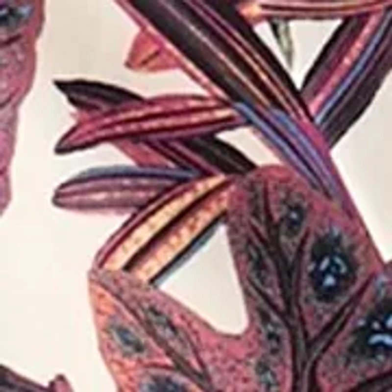 Women's Printed Satin Suit Separate Jacket