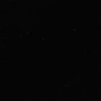 Women's Wide Leg Solid Velvet Pants