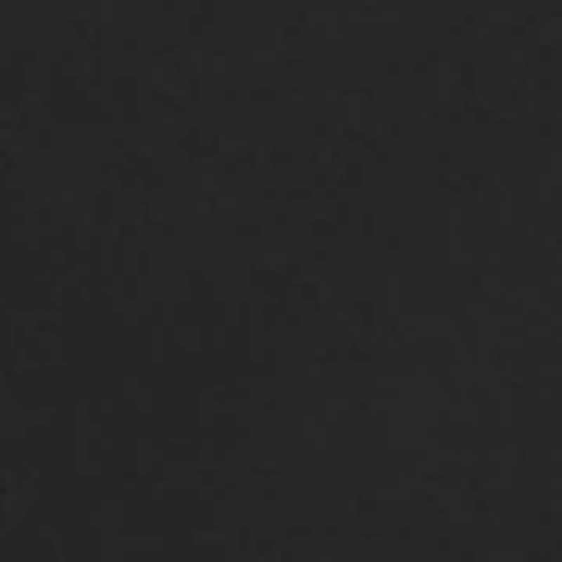 Women's Satin Long Skirt