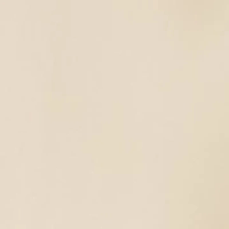 Women's Satin Long Skirt