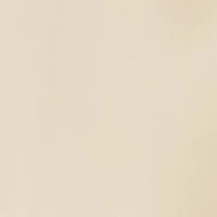 Women's Satin Long Skirt