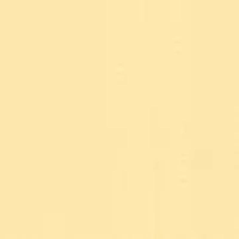 Women's Camisole Bustier