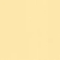 Women's Camisole Bustier