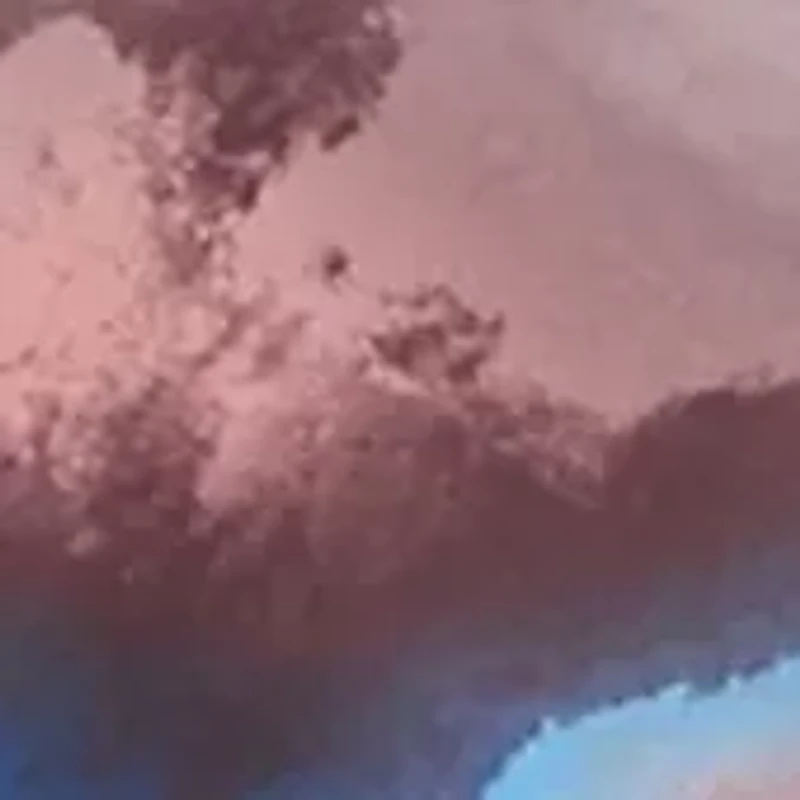 Plus Cowl Neck Blouse