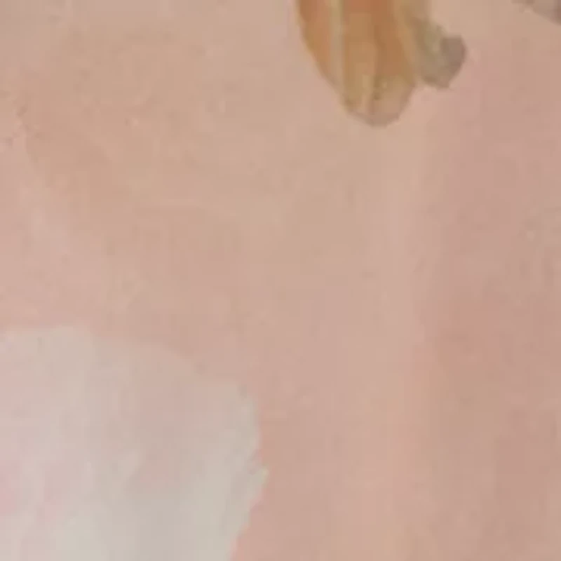 Women's Long Sleeve Floral Blouse