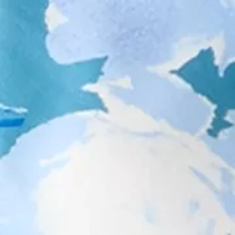 Women's Printed Popeye Top