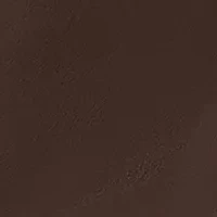 Women's Vegan Leather Slim Leg Ankle-Length Pants