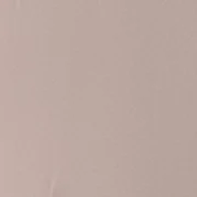 Women's Wide Leg Pleated Pants