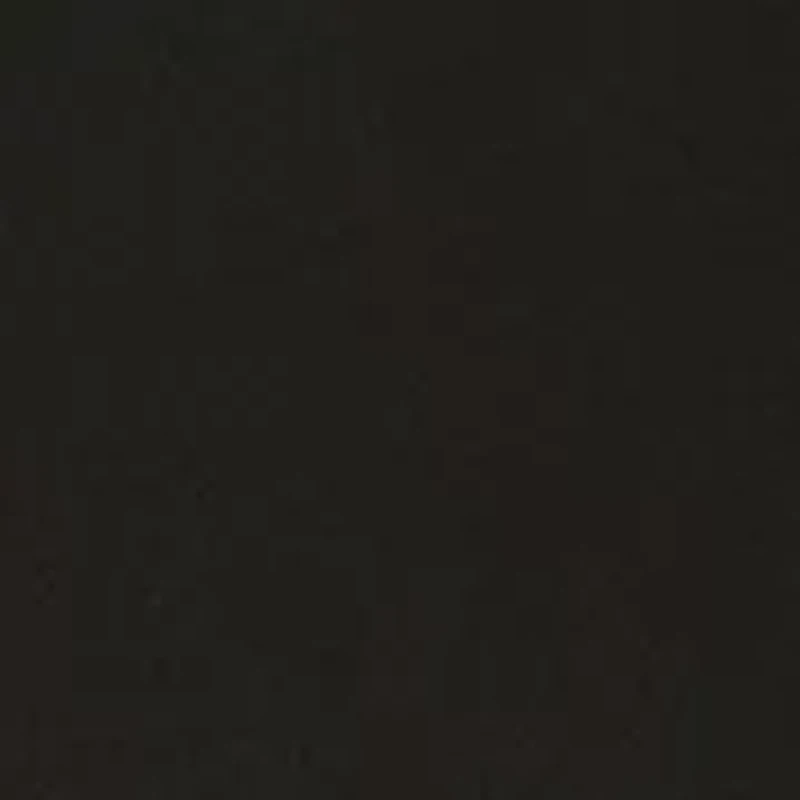 Women's Sleeveless Mock Neck Top