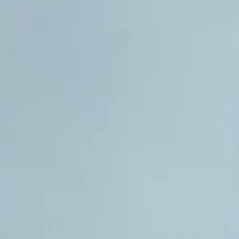 Women's Flared Trousers