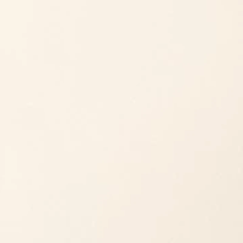 Women's Stretch One Button Notch Collar Jacket