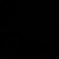 Plus Cozy Faux Fur Coat