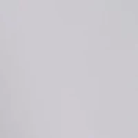 Crystal Embellished Holiday Skirt