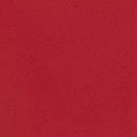 Women's Asymmetrical Neck Hardware Top