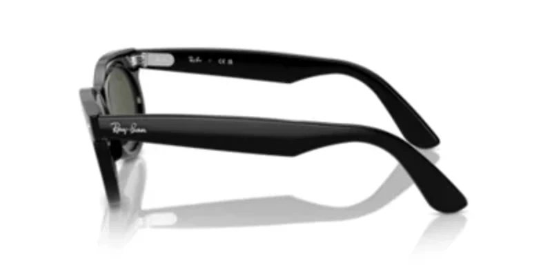 RB2242 Wayfarer Oval Sunglasses