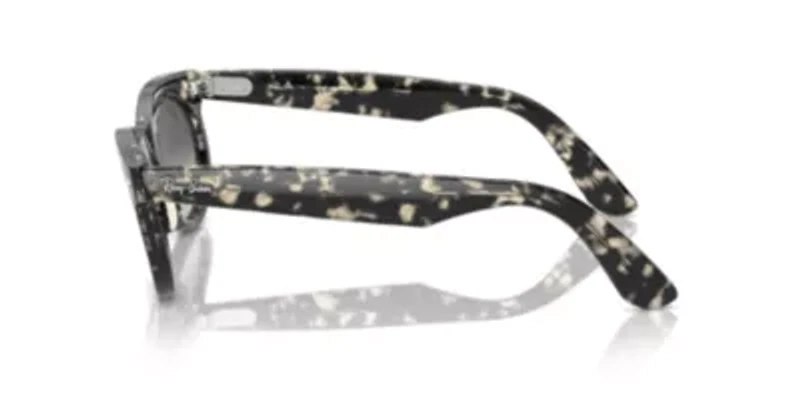 RB2242 Wayfarer Oval Sunglasses