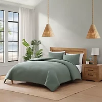 Paradisio Cotton Comforter Set