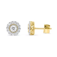 Lab Created 1/2CTW Grown Diamond Stud Earrings with Halo Sterling Silver