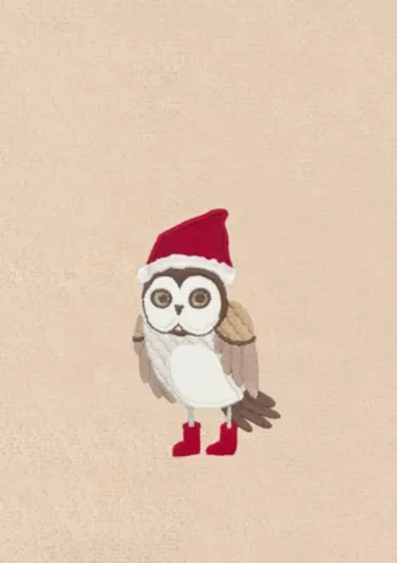 Christmas Baby Owl Hand Towels Set of 2