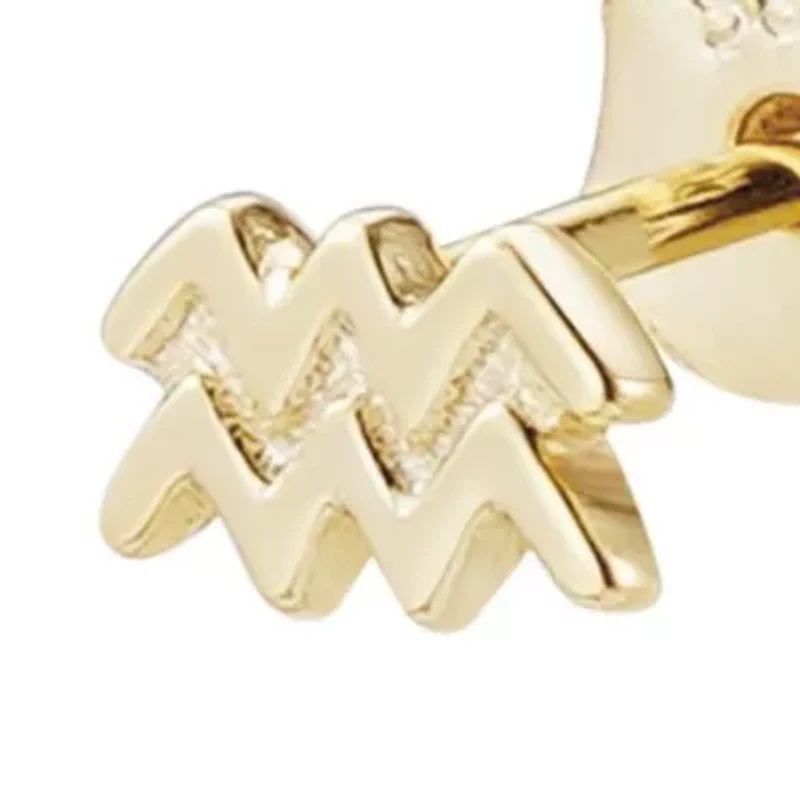 14k Gold Vermeil .925 Sterling Silver Single Zodiac Sign Stud Earring
