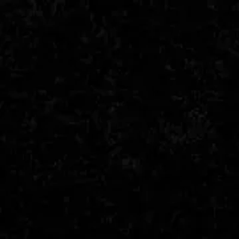 2 ct. tw. Black Diamond Screwback Earring 14K Gold