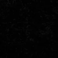 2 ct. tw. Black Diamond Screwback Earring 14K Gold