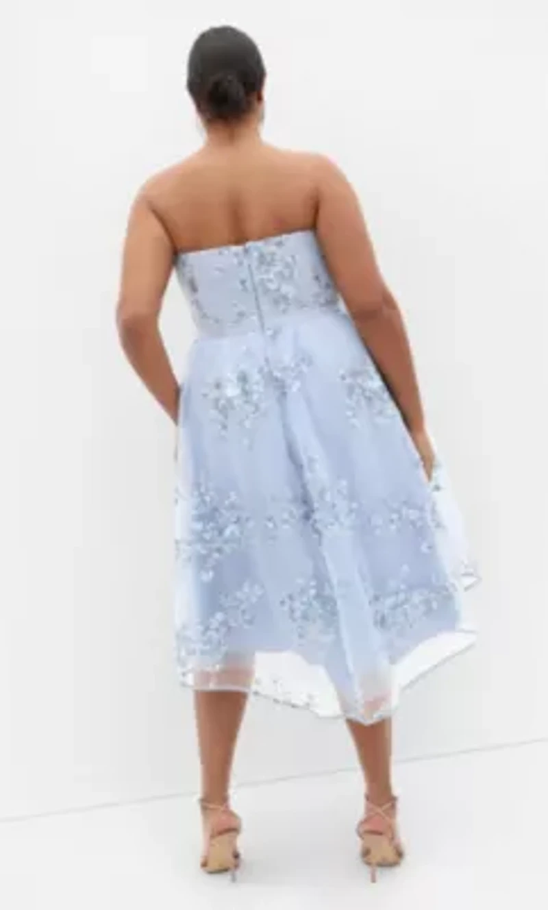 Ambrosia Strapless Tulle Dress