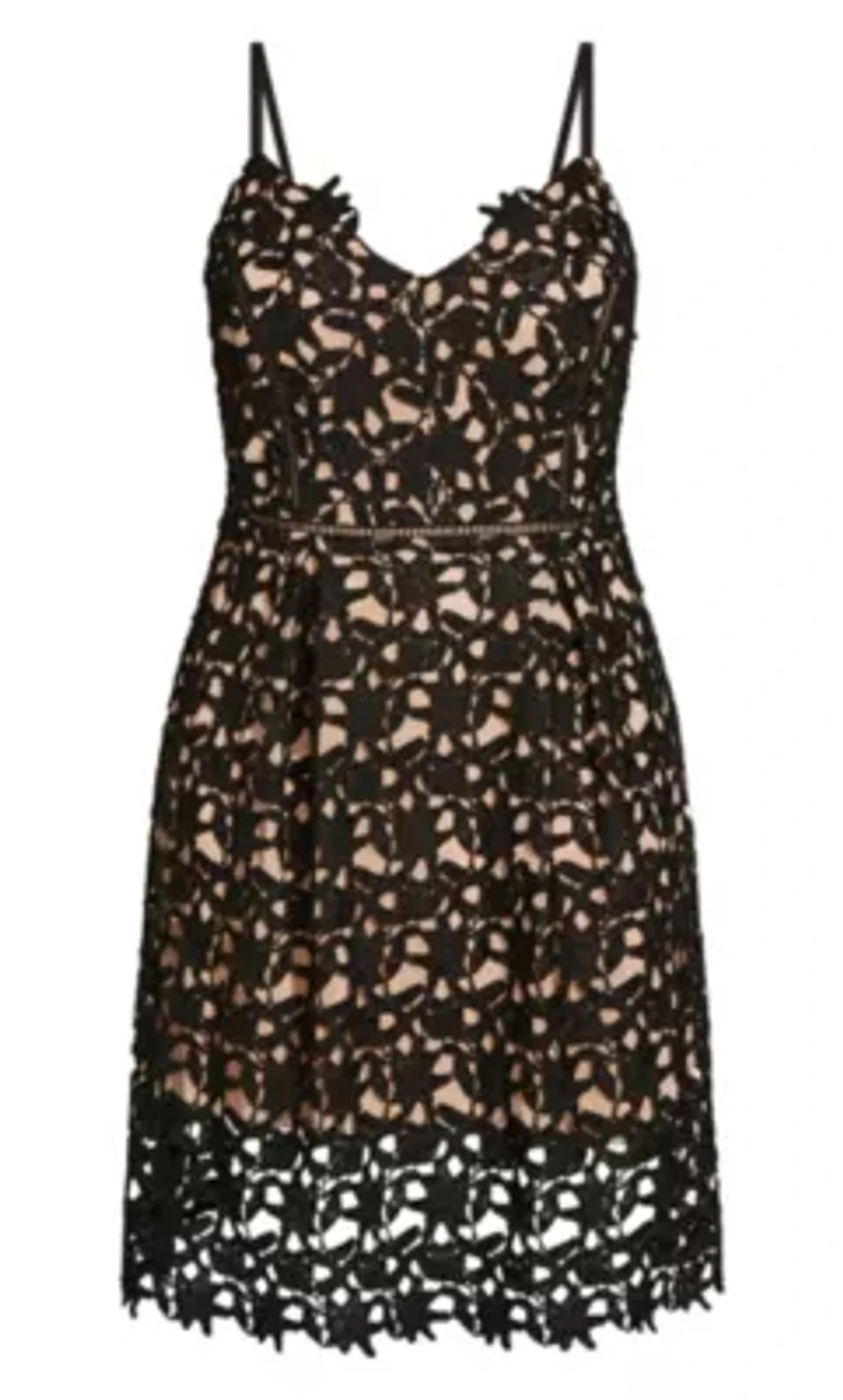 So Fancy Lace Fit And Flare Dress