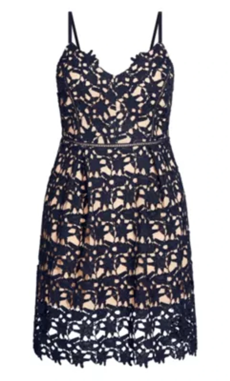 So Fancy Lace Fit And Flare Dress