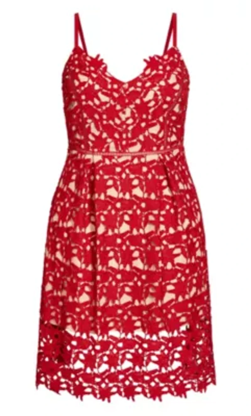So Fancy Lace Fit And Flare Dress
