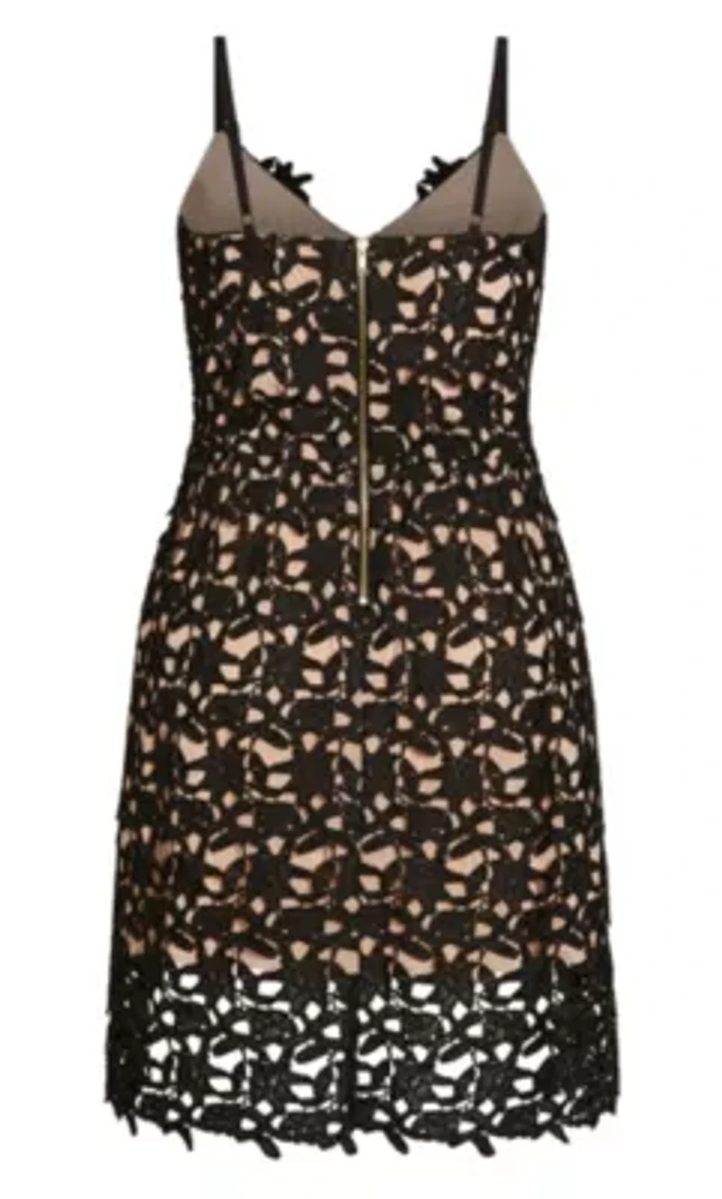 So Fancy Lace Fit And Flare Dress