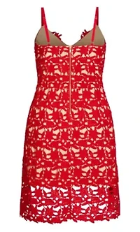 So Fancy Lace Fit And Flare Dress